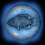 Fishing resource summoning orb