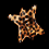 Leopard pelt