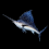 Sailfish Image