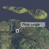 Thick Jungle