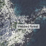 Webbed Forest